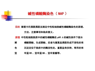 碱性磷酸酶染色(NAP)123