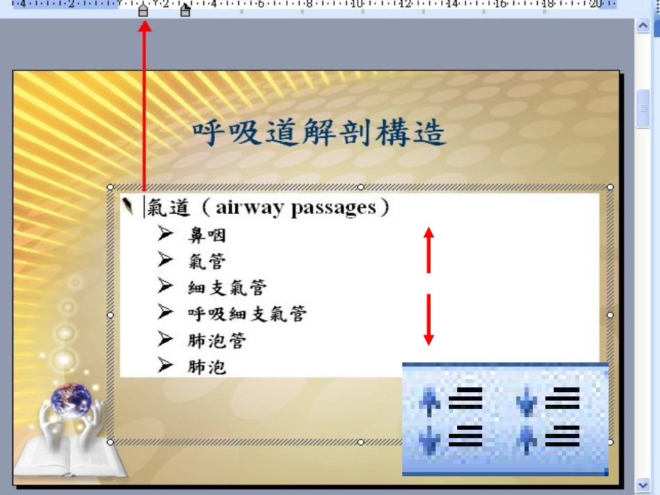 呼吸道解剖构造_第2页