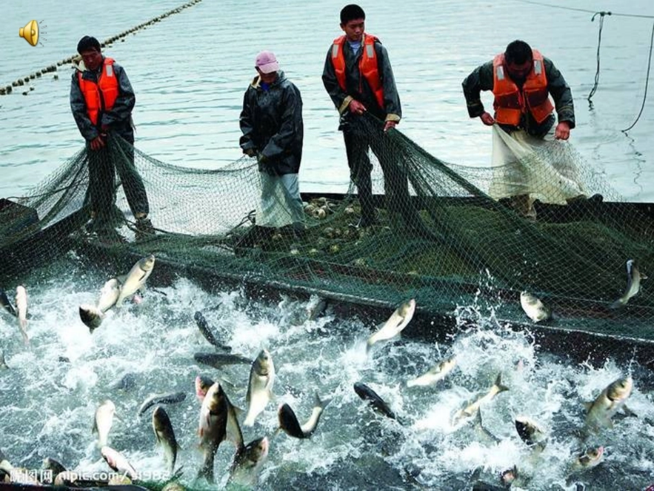 综合实践___节约用水__课件_第3页