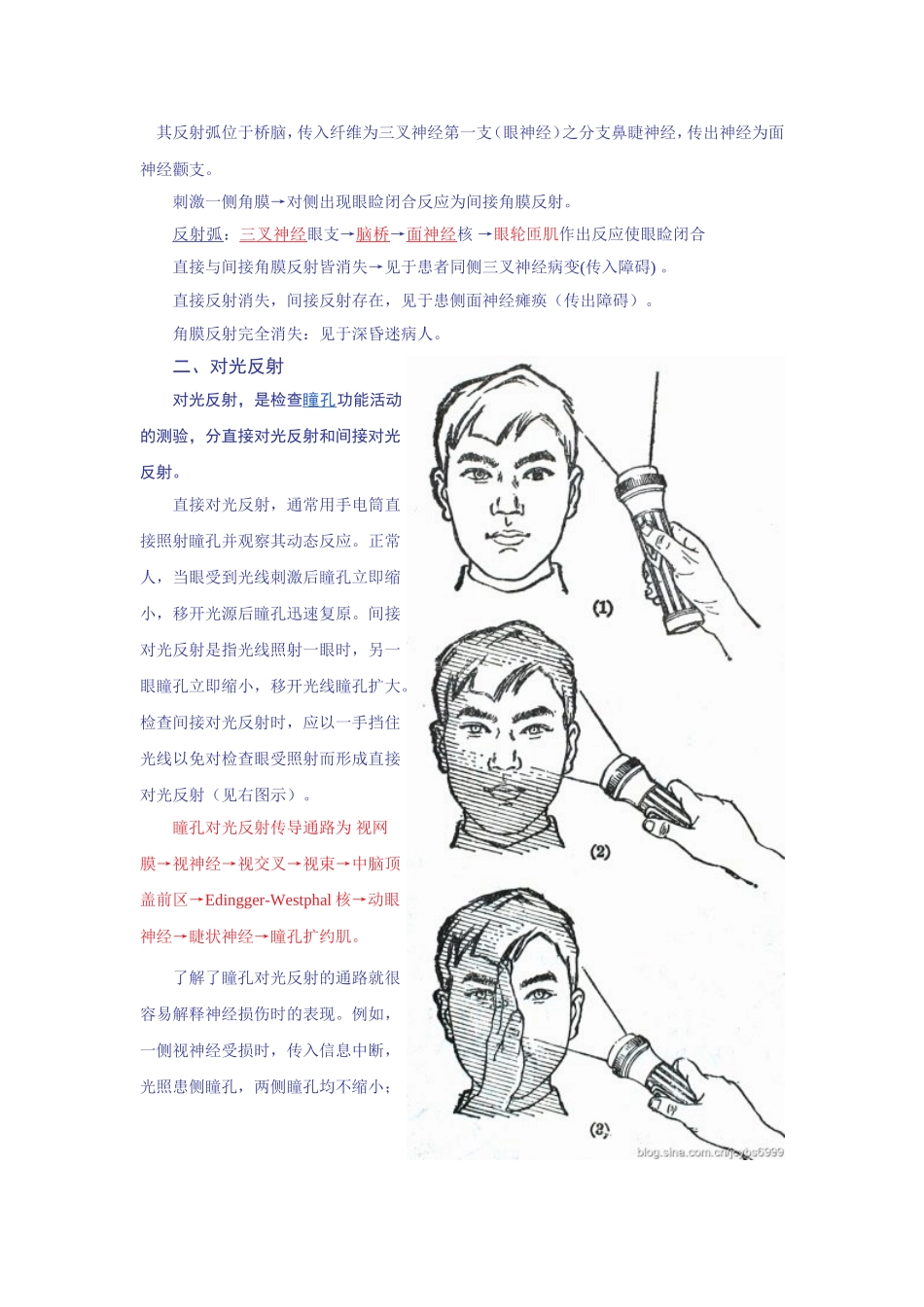 角膜反射和对光反射_第2页