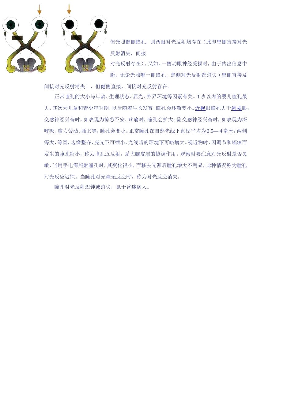 角膜反射和对光反射_第3页