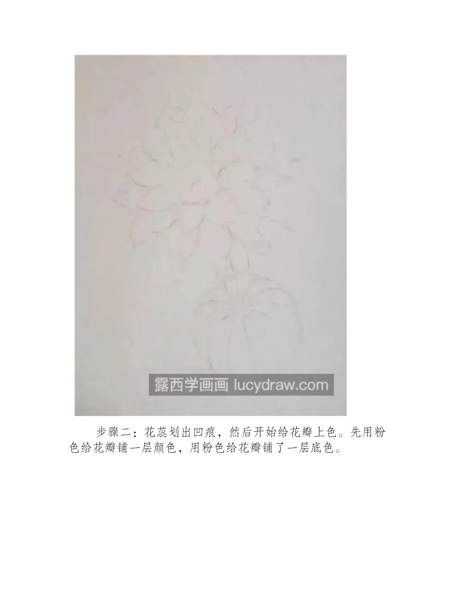 开花的仙人球怎么画_仙人球的花彩铅步骤有哪些_彩铅画教程_第2页