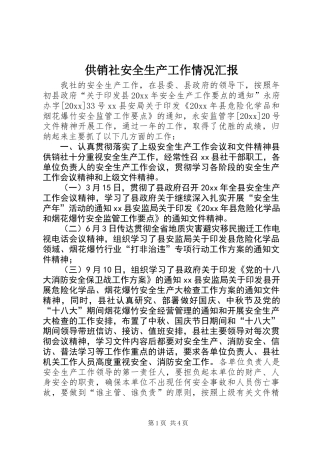 供销社安全生产工作情况汇报 (2)