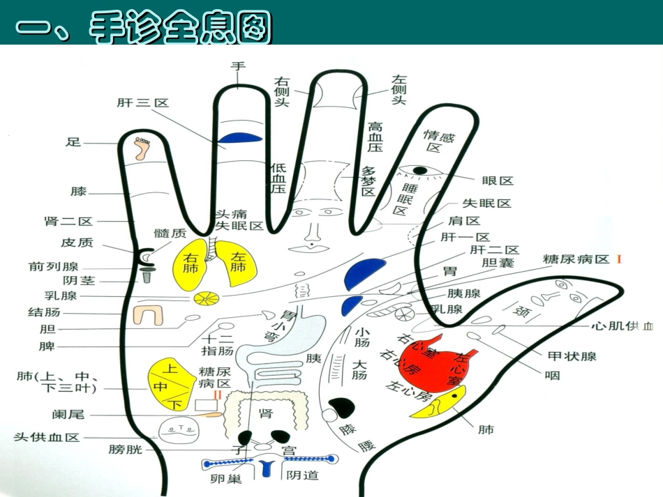 看手掌知疾病_第2页