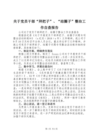 关于党员干部“拜把子”、“结圈子”整治工作自查报告