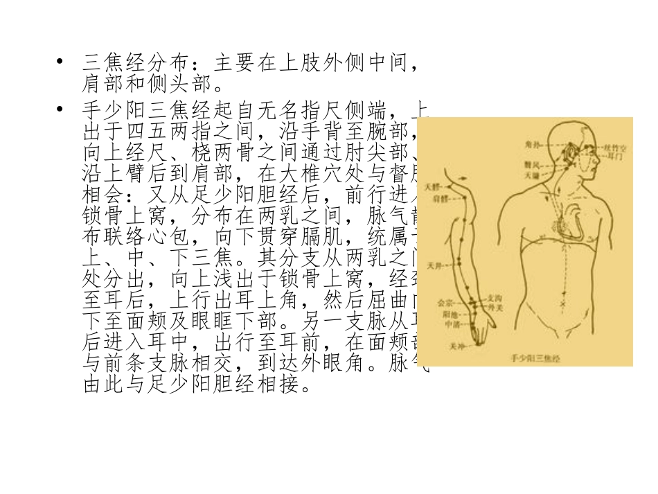 经络幻灯-第6章_第3页