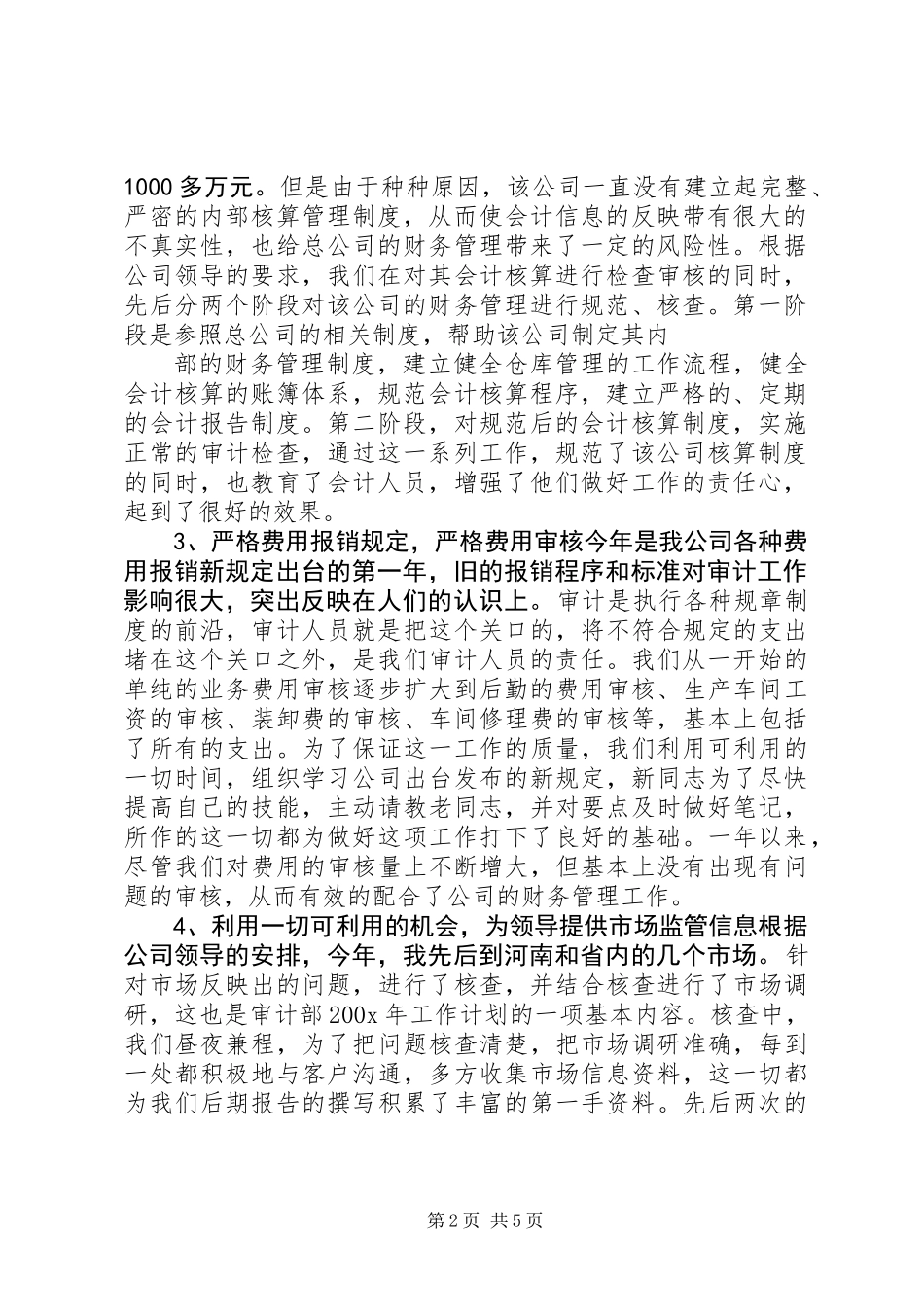 公司审计年终工作总结_第2页