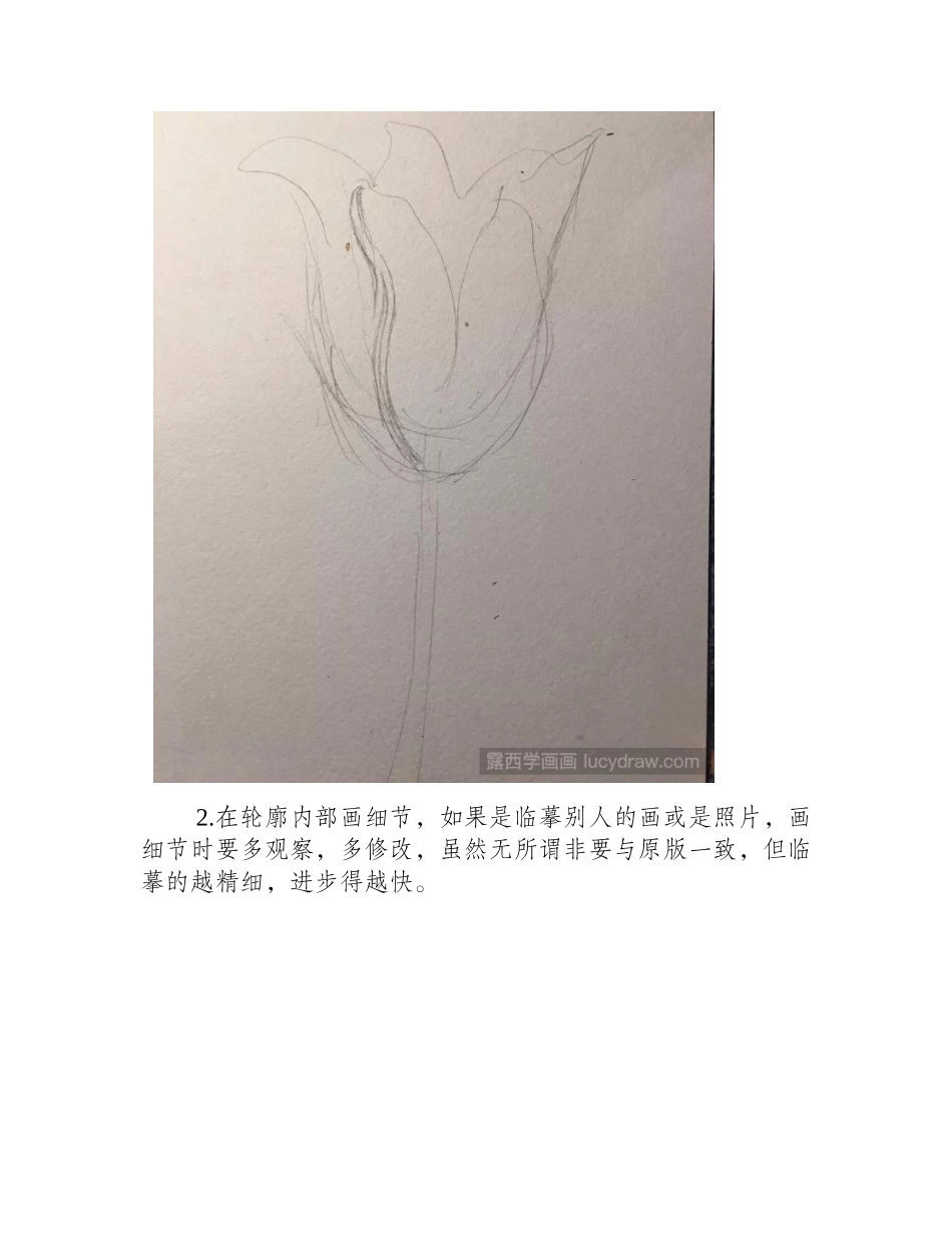 零基础绘画教程，百合花水彩画怎么画_水彩画教程_第2页