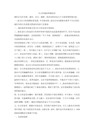 红豆杉种植技术资料大全