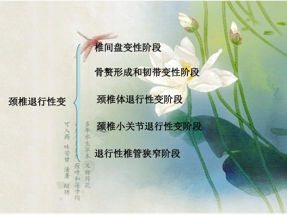 颈椎退行性变_第2页