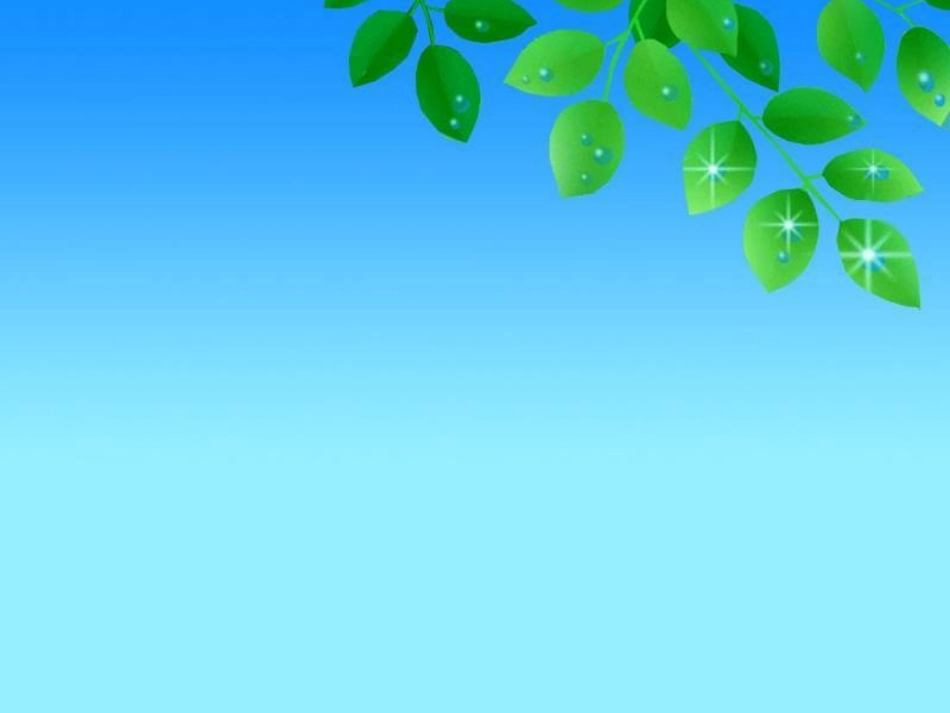 小学写字课《有趣的汉字》_第1页