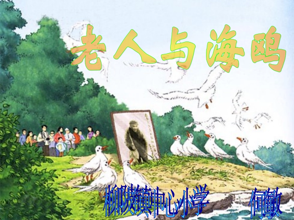 、老人与海鸥_第1页