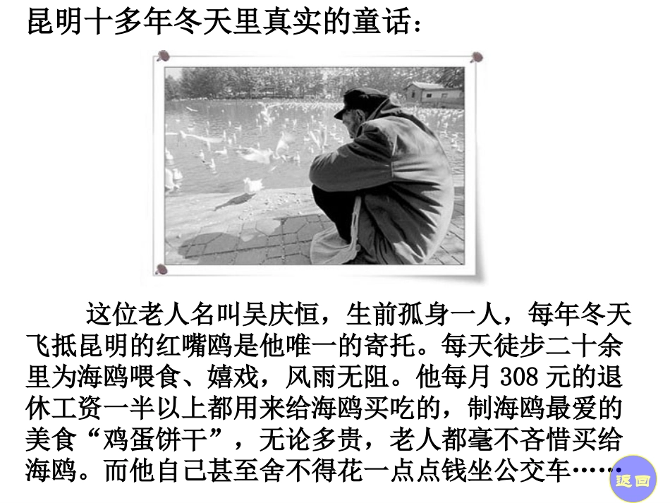 、老人与海鸥_第2页