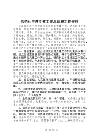 供销社年度党建工作总结和工作安排