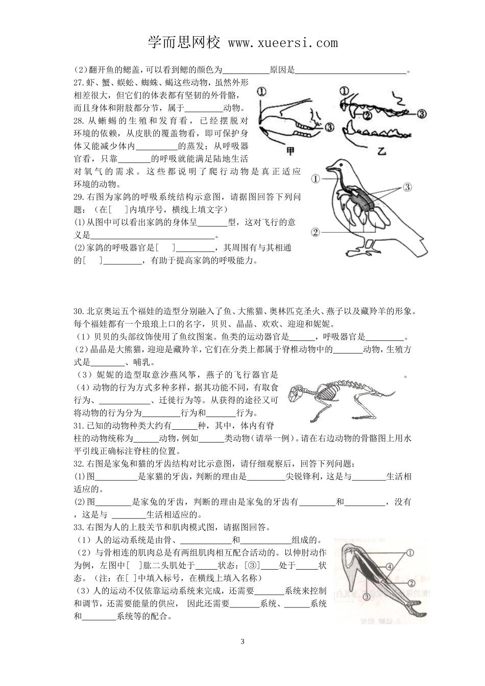 福建省厦门一中集美分校2013-2014学年八年级上学期期中考试生物试题_第3页