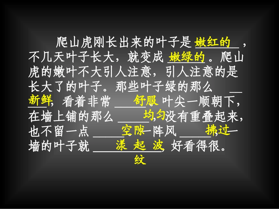 陈仁兰爬山虎的脚_第2页