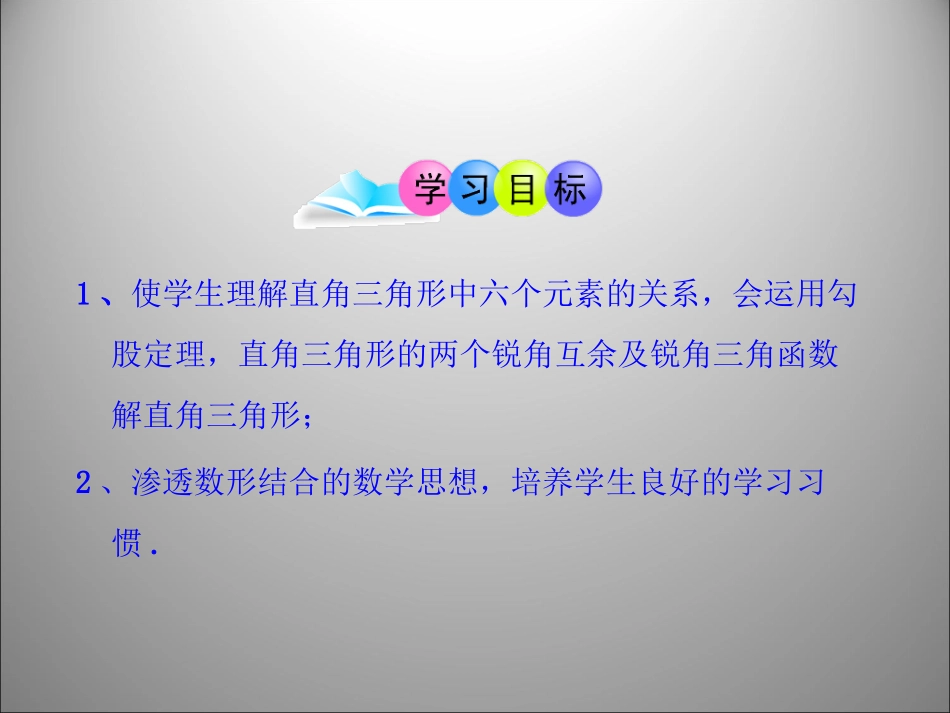 解直角三角形第课时_第2页