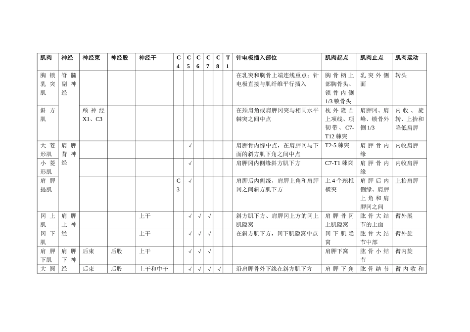 肌肉的神经支配_第1页