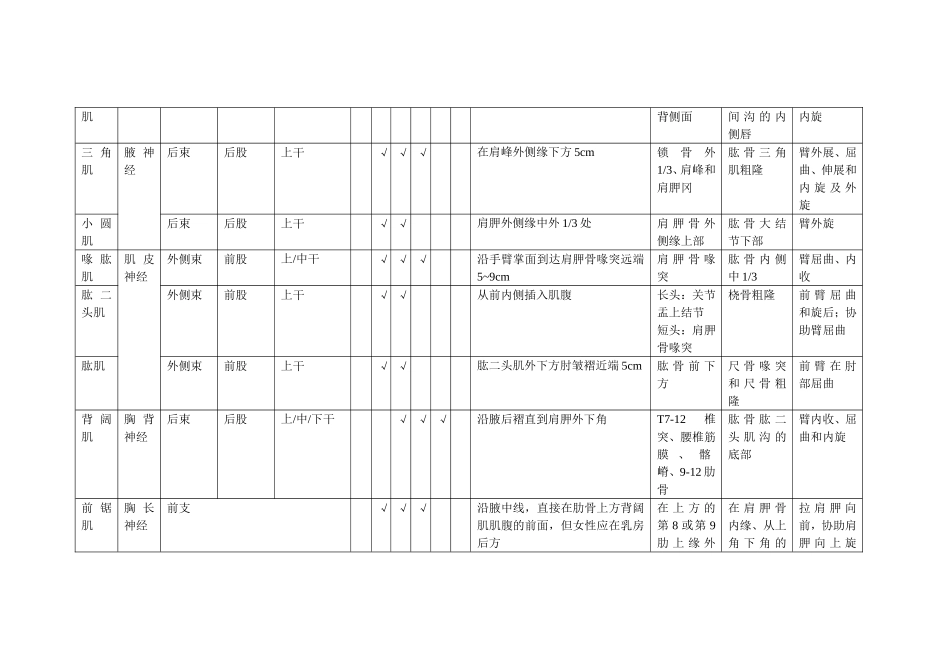 肌肉的神经支配_第2页