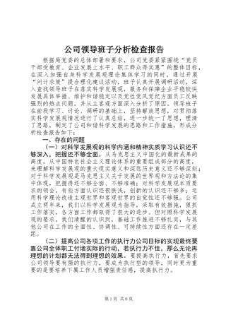 公司领导班子分析检查报告