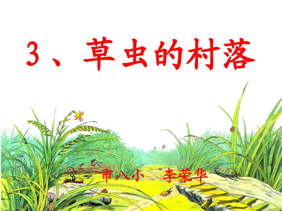草虫的村落上课用_第1页