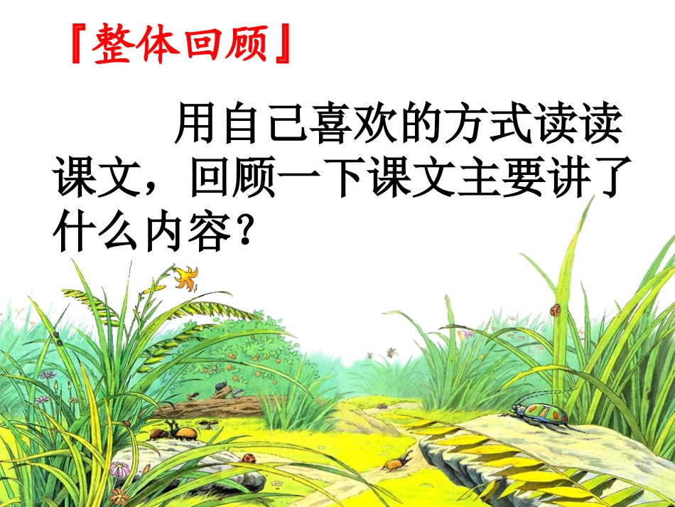 草虫的村落上课用_第2页