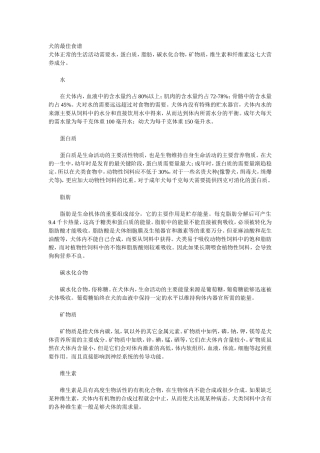 狗狗的饲养、防疫知识