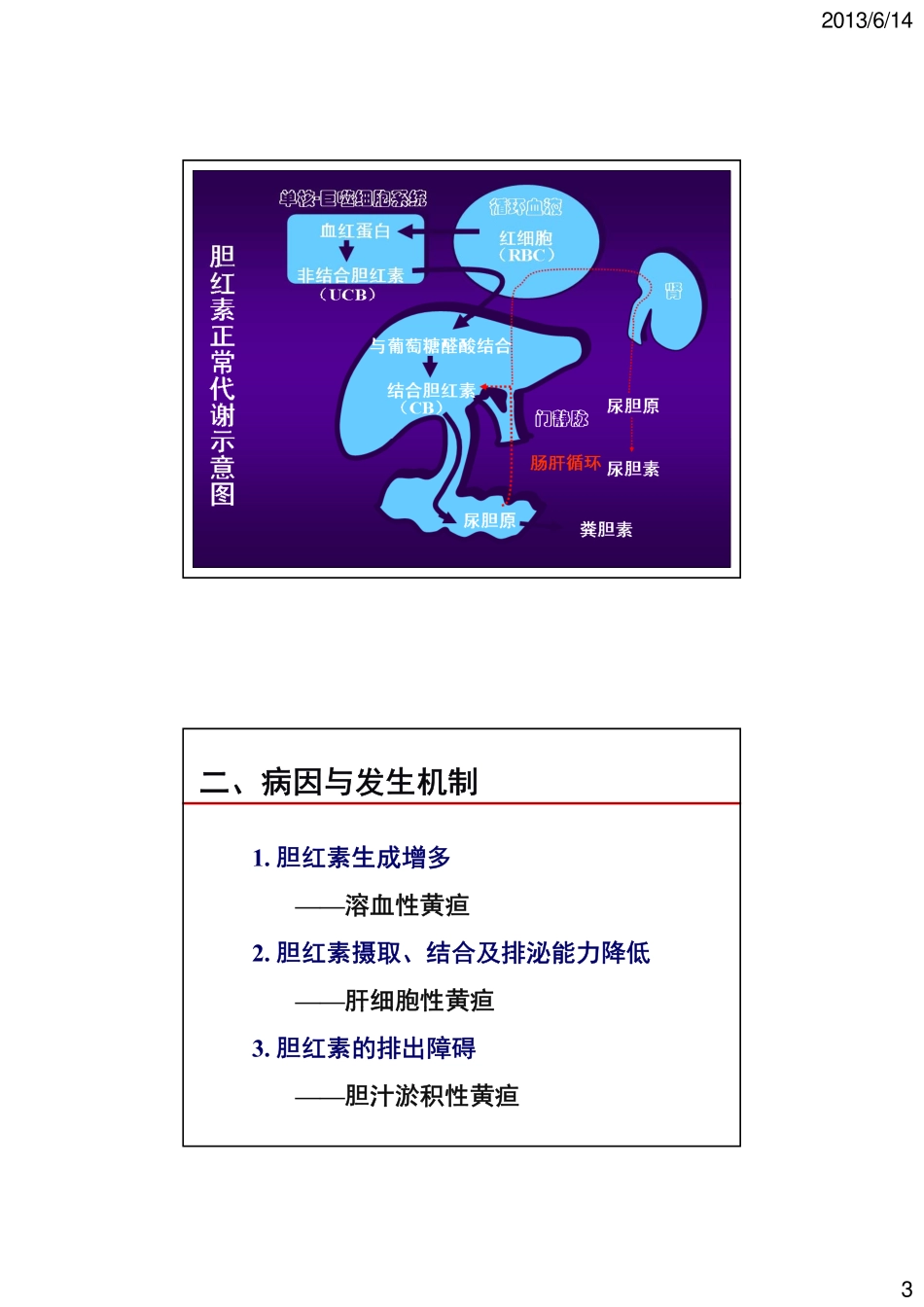 黄疸 [兼容模式]_第3页