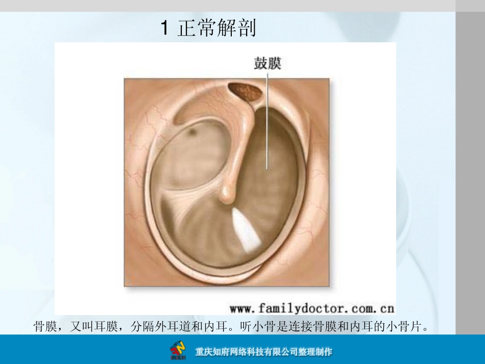 鼓膜修复术图解_第2页