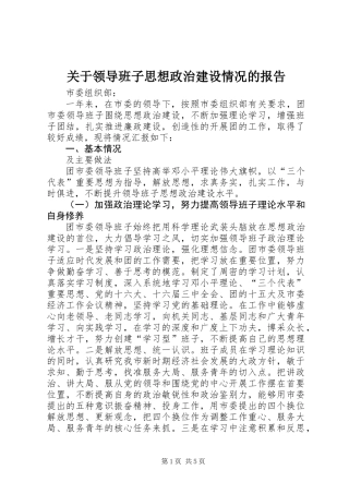 关于领导班子思想政治建设情况的报告