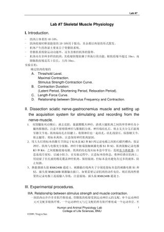 肌肉占体重的40-50%