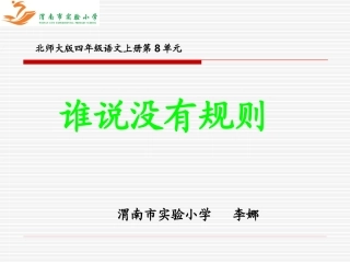 谁说没有规则李娜