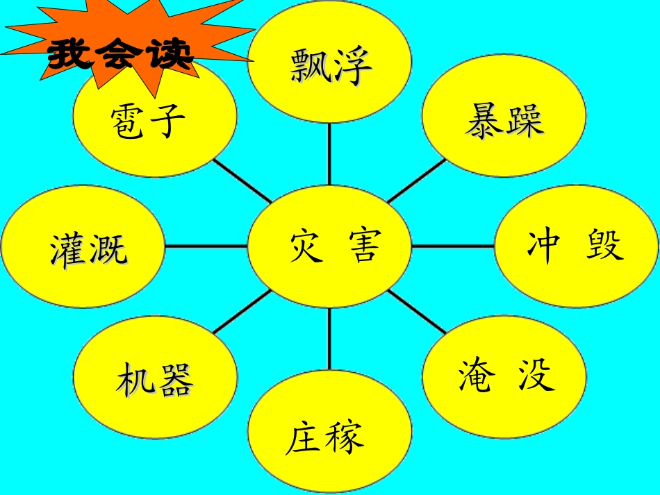 《我是什么》教学课件_第3页