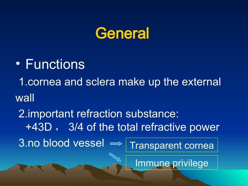 角膜疾病英文课件_第2页