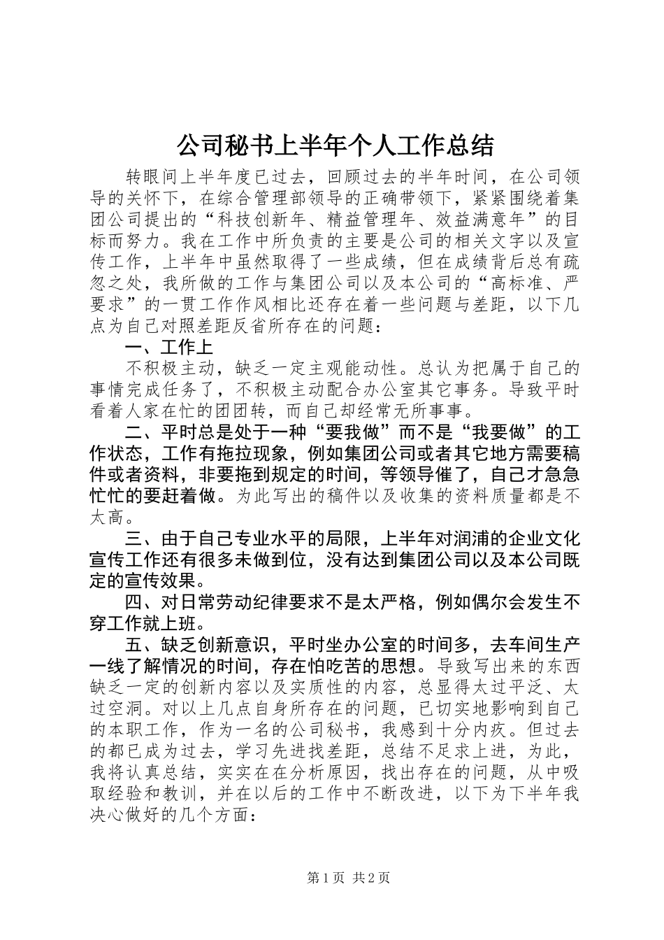 公司秘书上半年个人工作总结_第1页