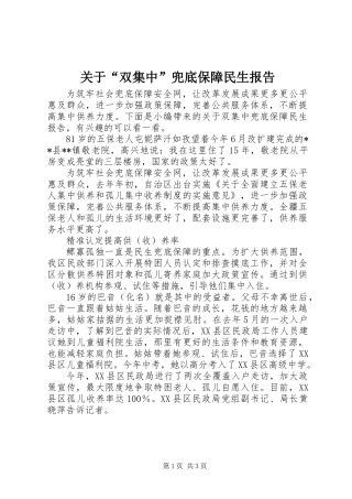 关于“双集中”兜底保障民生报告
