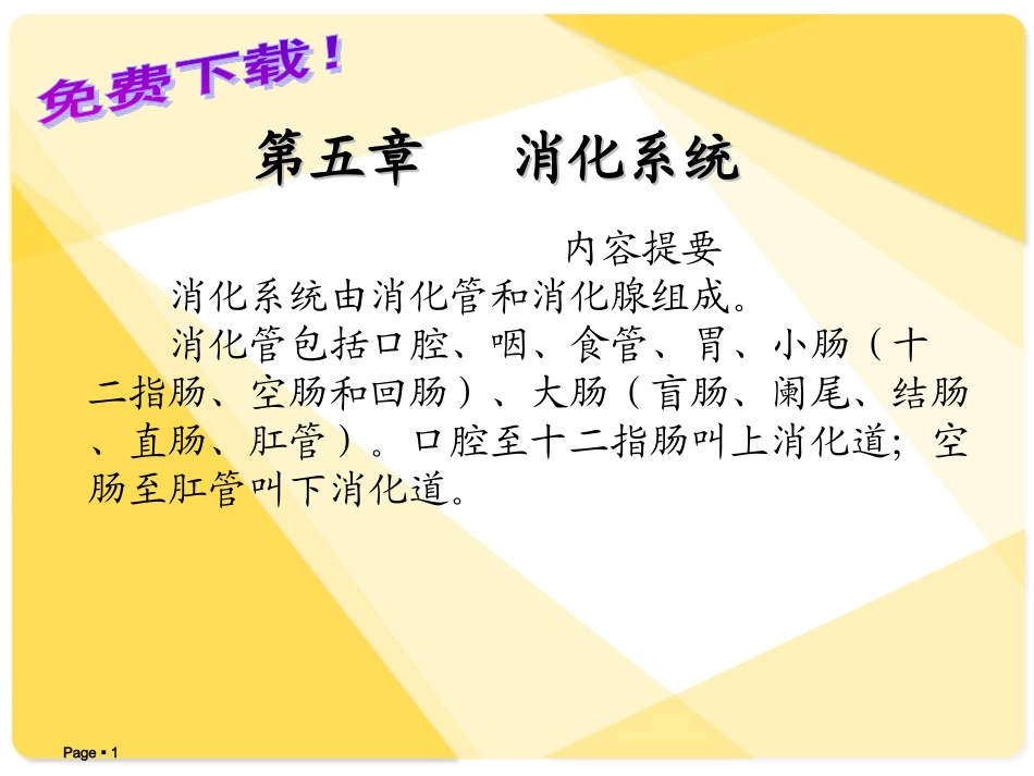 解剖学课件：消化系统_第1页