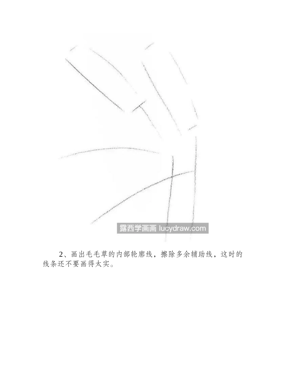 毛毛草怎么画_简单的绘画步骤有几步_素描教程_第2页