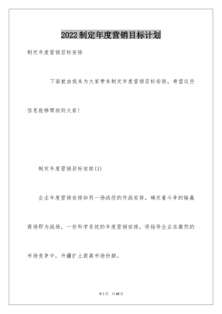 2024制定年度营销目标计划