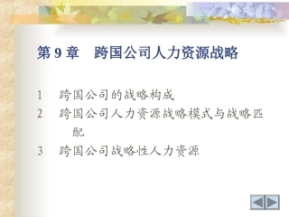 跨国公司人力资源战略