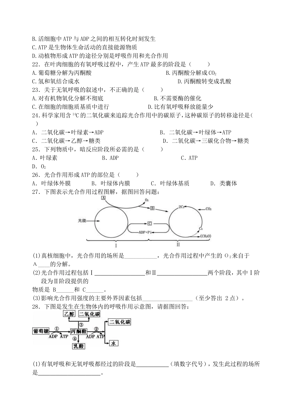 高二会考基础试题_第3页