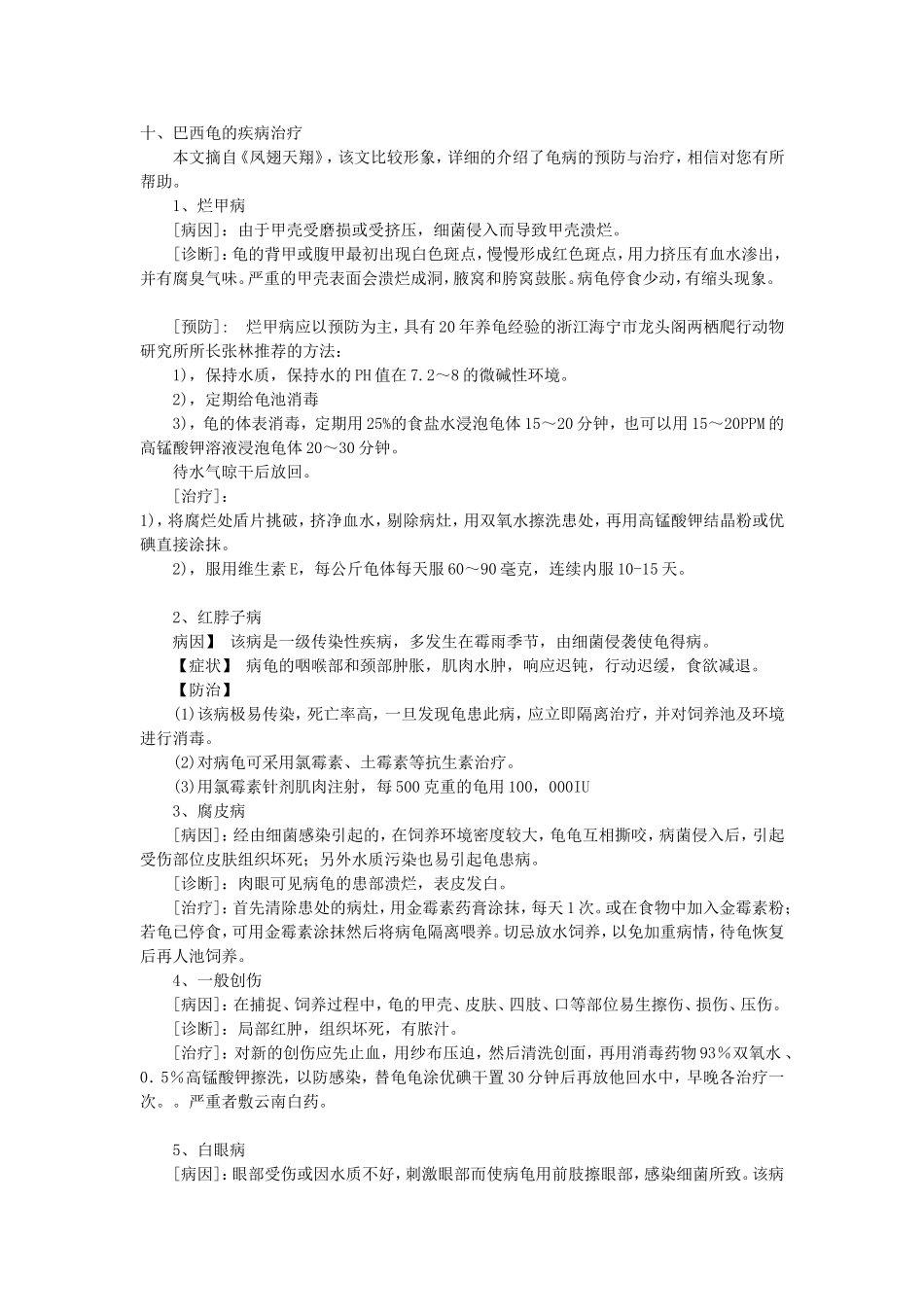 龟类(主要是巴西龟)疾病概述_第1页