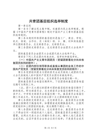 共青团基层组织选举制度