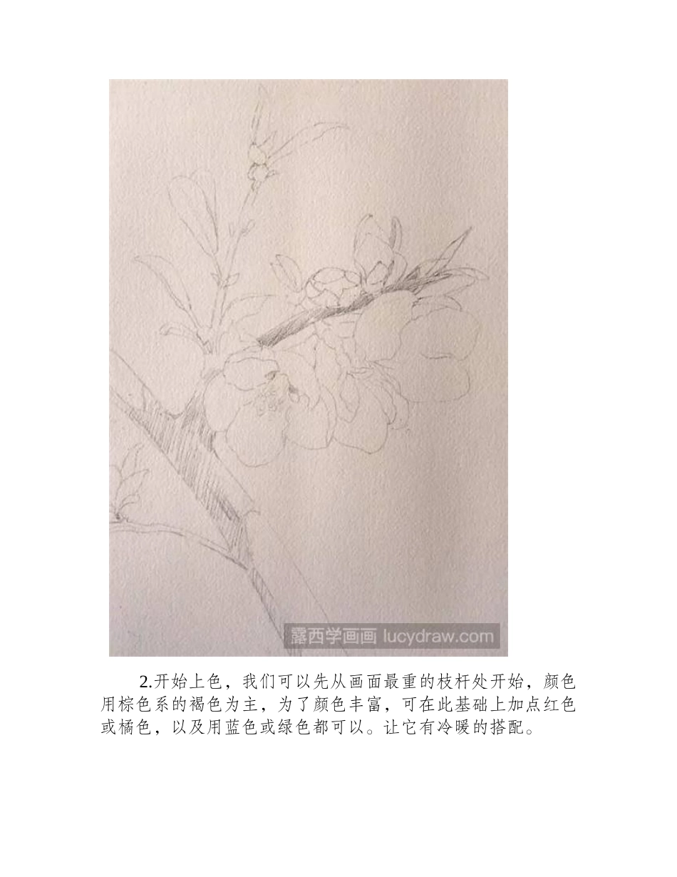 梨花水彩画教程水彩画教程_第2页