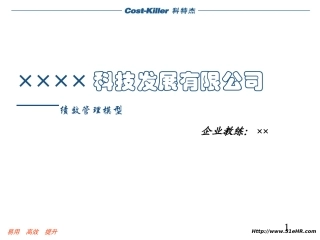 公司绩效管理模型