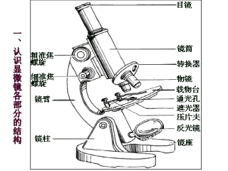 高中生物必修一专题-显微镜