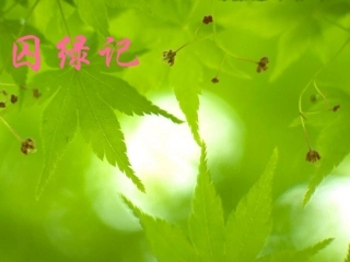 《囚绿记》课件5（17张PPT）（语文版九年级上）