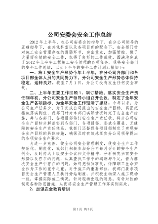 公司安委会安全工作总结 (2)