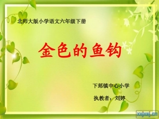 新《金色的鱼钩》课件