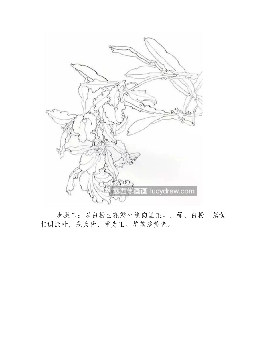 卡德兰和剑佩兰怎么画_画法步骤有哪些_工笔画教程_第2页